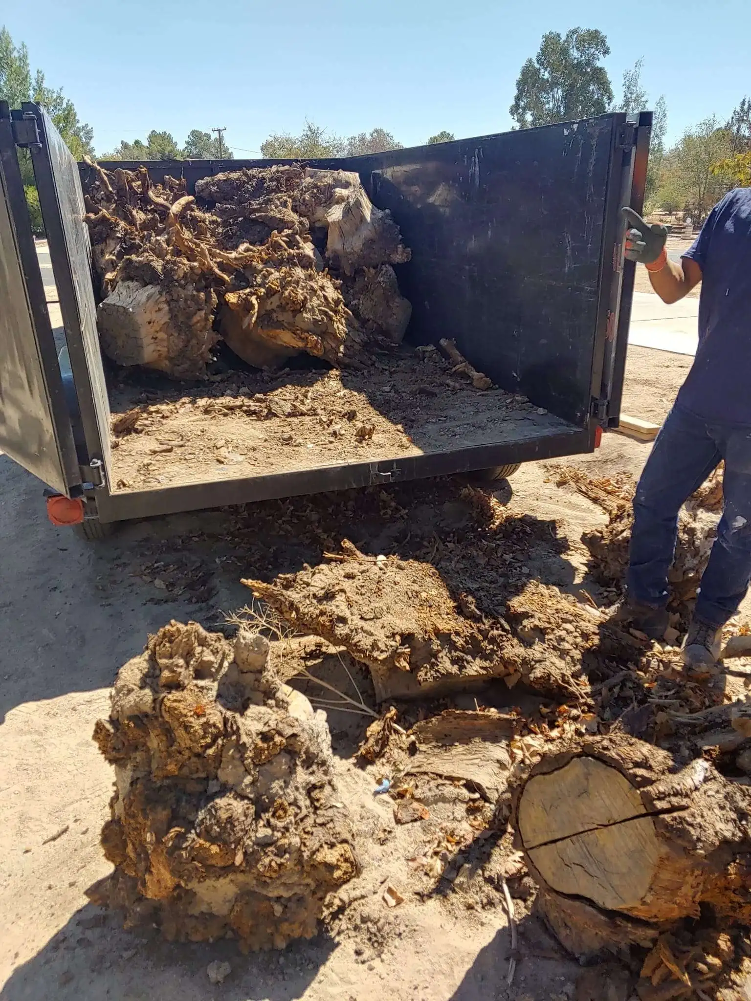 stump griding