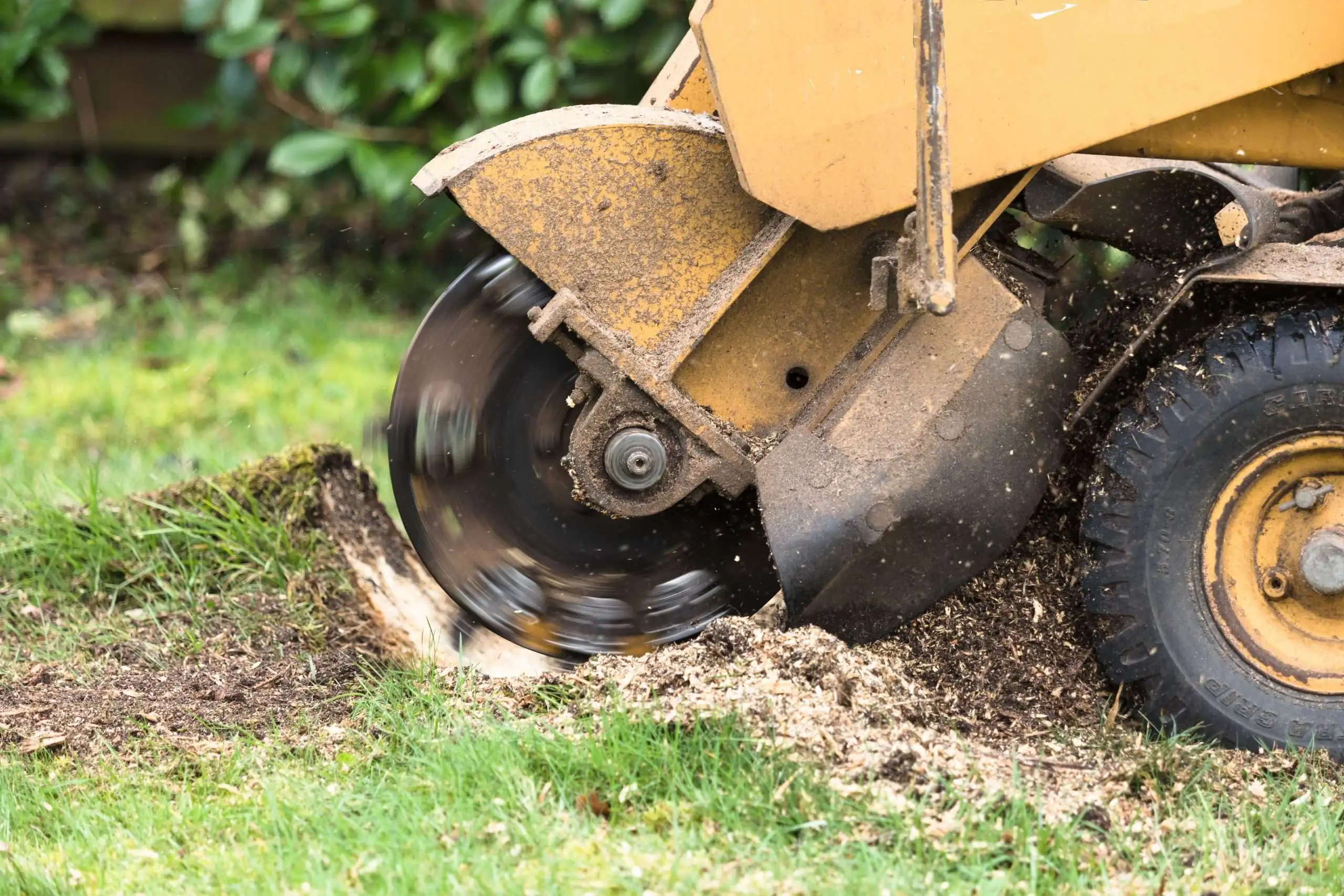 stump-grinding-service